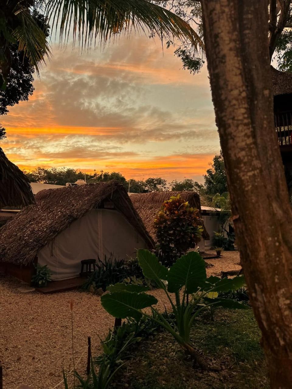 El Buho Bacalar Eco-Cabanas Hostal Kültér fotó